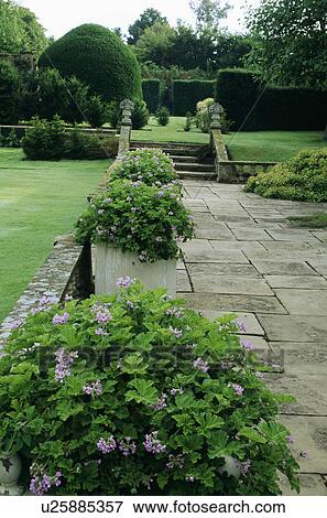 Stone paving in country garden View Large Photo Image Stock Photo - Stone paving in country garden. Fotosearch