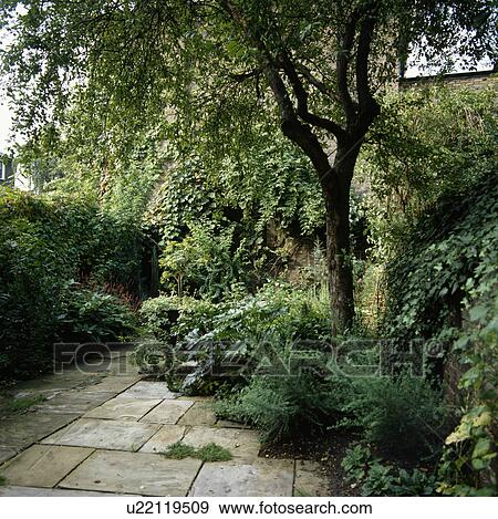 Stock Photo - Stone paving in green town garden in summer. Fotosearch