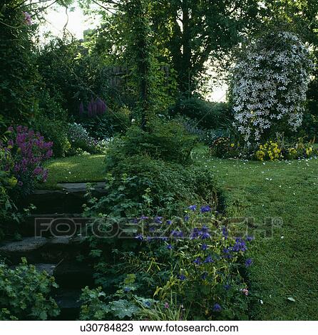 Stock Image - Stone steps in country garden in spring. Fotosearch