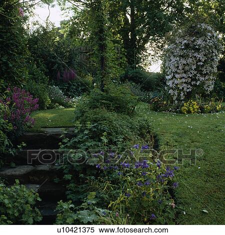 Stone steps in country garden in spring View Large Photo Image Stock Photography - Stone steps in country garden in spring. Fotosearch