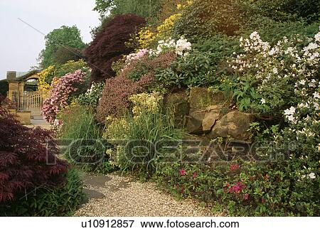 Stock Photo - Stone wall in hillside country garden in spring. Fotosearch