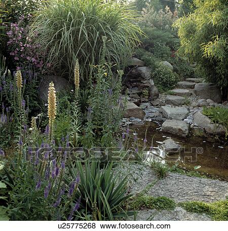Stream and paving stones in shady summer garden View Large Photo Image Stock Photo - Stream and paving stones in shady summer garden. Fotosearch
