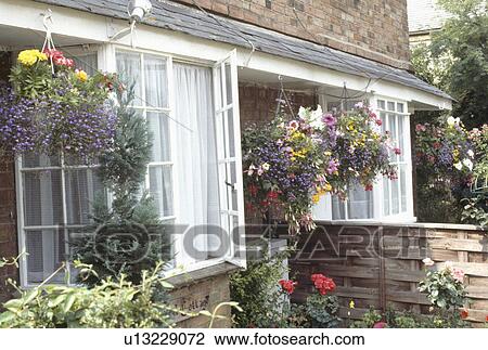 Summer flowering plants in hanging baskets on small townhouse with open window View Large Photo Image Stock Image - Summer flowering plants in hanging baskets on small townhouse with open window. Fotosearch