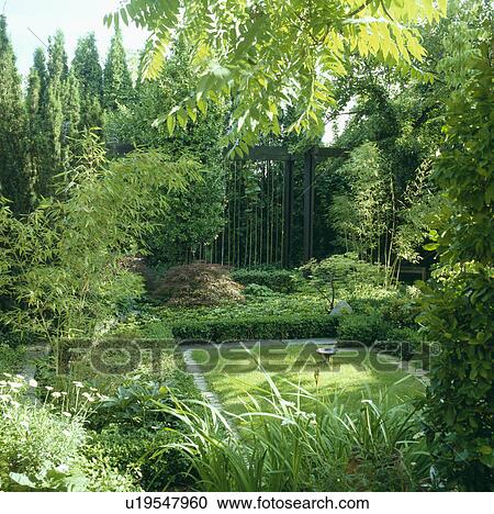 Stock Image - Sunken lawn surrounded by trees in summer country garden . Fotosearch