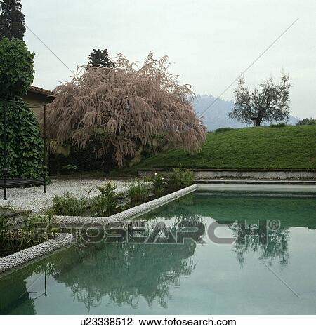 Swimming pool in Italian country garden View Large Photo Image Stock Image - Swimming pool in Italian country garden. Fotosearch