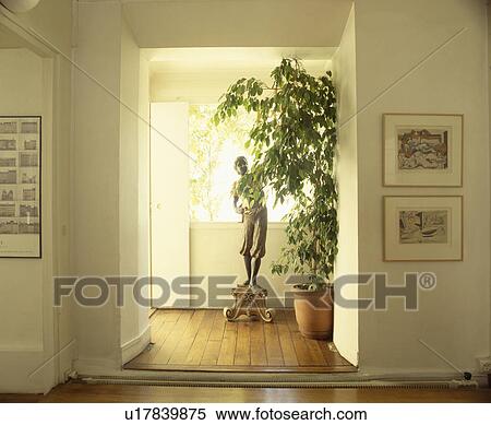 Tall green houseplant and large statue in white L-shaped hall with wooden flooring View Large Photo Image Stock Photography - Tall green houseplant and large statue in white L-shaped hall with wooden flooring. Fotosearch