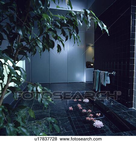 Stock Photo - Tall houseplant beside sunken bath with floating flowers in grey bathroom with black granite tiled floor. Fotosearch