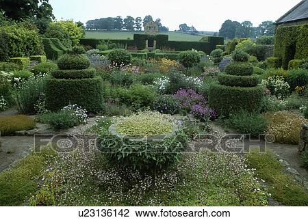 Topiary and clipped shrubs in large country garden in summer View Large Photo Image Stock Image - Topiary and clipped shrubs in large country garden in summer. Fotosearch