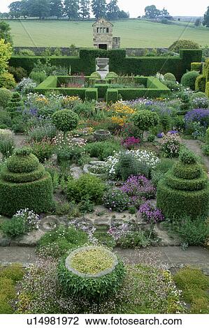 Stock Image - Topiary and clipped shrubs with flowering perennials in large country garden in summer. Fotosearch