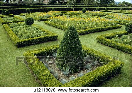 Topiary and clipped shrubs within low box hedge in large formal country garden in summer View Large Photo Image Stock Photo - Topiary and clipped shrubs within low box hedge in large formal country garden in summer. Fotosearch