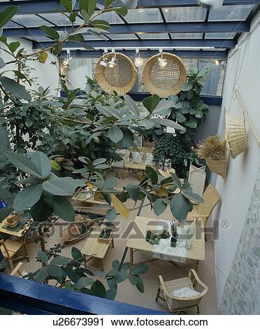 town, diningrooms, conservatories, houseplants View Large Photo Image Stock Image - town, diningrooms, conservatories, houseplants. Fotosearch
