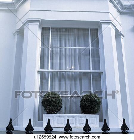 Picture - Town window, window box with box balls.. Fotosearch