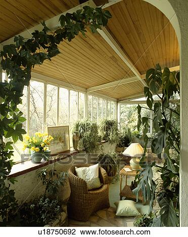 Traditional conservatory living room with comfortable furniture and green plants View Large Photo Image Stock Image - Traditional conservatory living room with comfortable furniture and green plants. Fotosearch