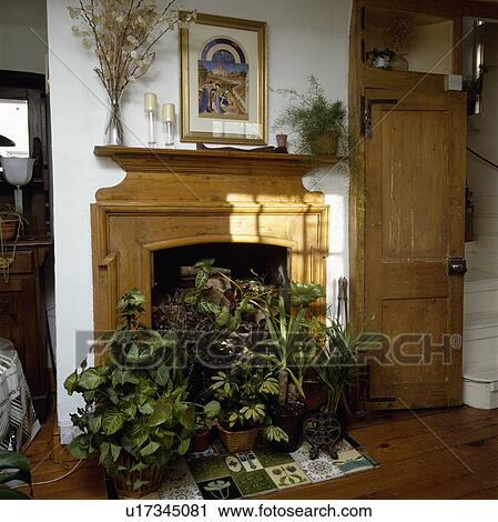 traditional, interior, details, fireplace, houseplant, town View Large Photo Image Stock Image - traditional, interior, details, fireplace, houseplant, town. Fotosearch