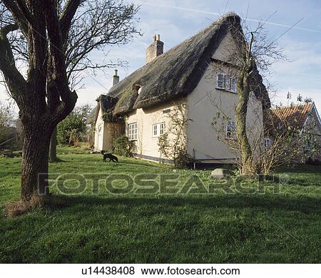 Stock Photo - Traditional thatched English country cottage set in large lawn. Fotosearch