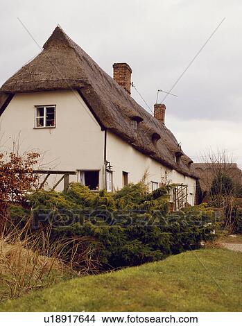 Traditional white English country cottage with thatched roof View Large Photo Image Picture - Traditional white English country cottage with thatched roof . Fotosearch