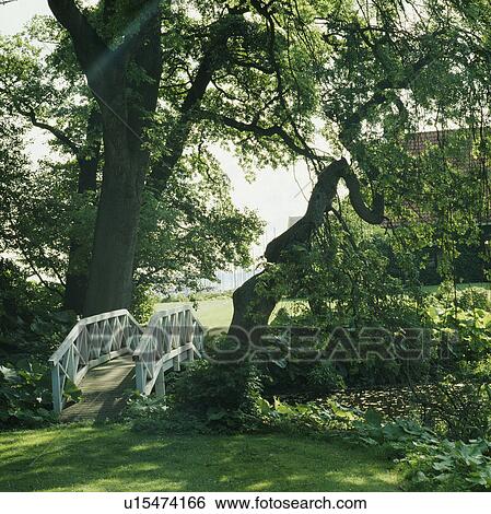 Stock Photograph - Tree beside white bridge over stream in country garden. Fotosearch