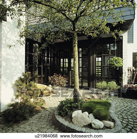 Stock Photo - Tree in bed with paved edge in courtyard of townhouse. Fotosearch