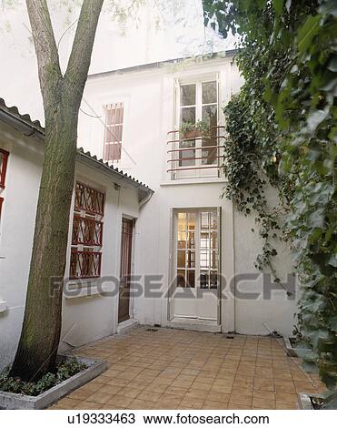 Tree in paved courtyard in front of white town house View Large Photo Image Stock Image - Tree in paved courtyard in front of white town house. Fotosearch