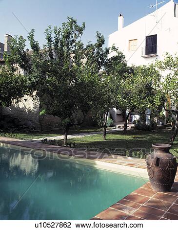 Stock Image - Trees and swimming pool in front of villa in southern Spain. Fotosearch