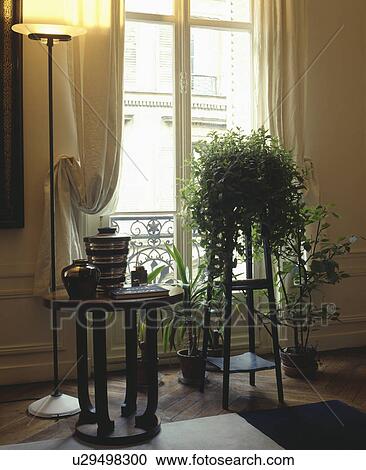 Uplighter and green plant on table in French living room View Large Photo Image Stock Image - Uplighter and green plant on table in French living room. Fotosearch