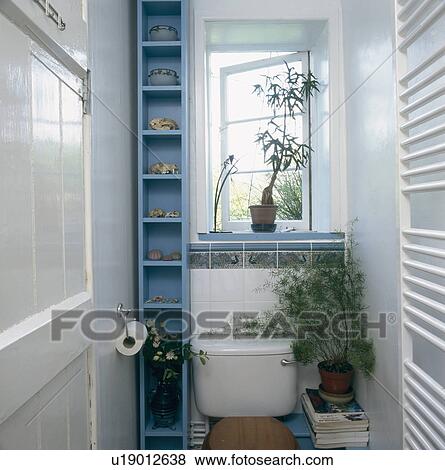 Vertical blue shelves beside toilet in small white cloakroom View Large Photo Image Stock Photo - Vertical blue shelves beside toilet in small white cloakroom. Fotosearch