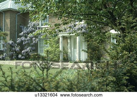 Picture - View through trees of country house with climbing wisteria and classical pillars on porch. Fotosearch