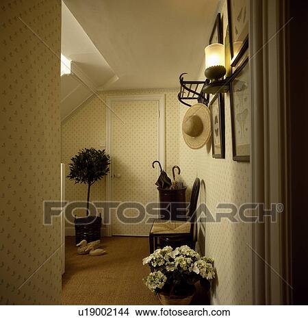 wallpaper, interior, carpet, sisal, doors, houseplant View Large Photo Image Picture - wallpaper, interior, carpet, sisal, doors, houseplant. Fotosearch