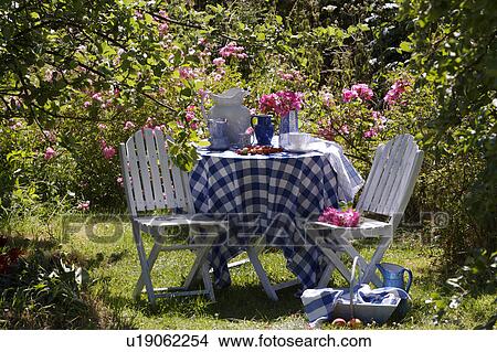 Picture - White chairs and table with blue+white checked cloth in country garden in summer. Fotosearch