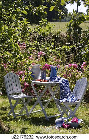 Stock Image - White chairs and table with blue+white checked cloth in country garden in summer. Fotosearch