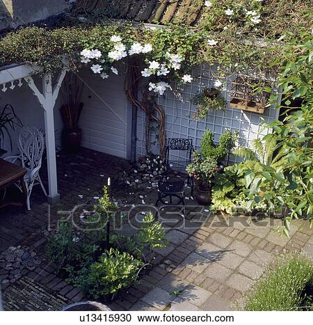 Stock Image - White clematis on pillar of veranda in small paved courtyard garden. Fotosearch