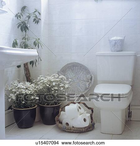 White daisies in pots and basket of white towels beside white toilet in modern white tiled bathroom View Large Photo Image Picture - White daisies in pots and basket of white towels beside white toilet in modern white tiled bathroom. Fotosearch