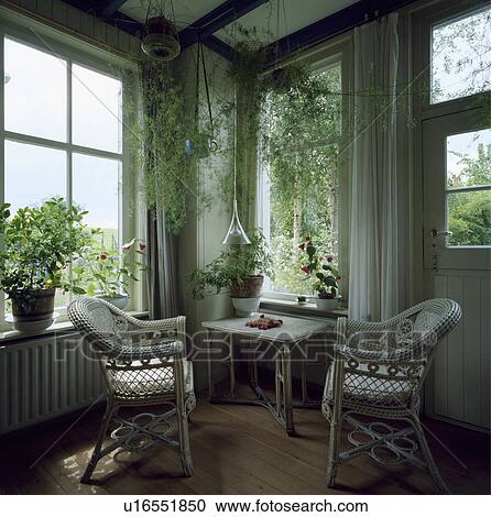 White wicker chairs and table in corner of small living room with green gouseplants View Large Photo Image Stock Image - White wicker chairs and table in corner of small living room with green gouseplants. Fotosearch