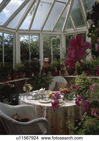 White wicker chairs and table set for tea in traditional conservatory View Large Photo Image Picture - White wicker chairs and table set for tea in traditional conservatory. Fotosearch