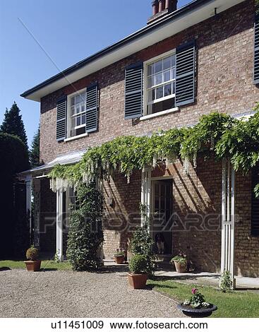 White wisteria on veranda of traditional country house with black shutters View Large Photo Image Stock Photo - White wisteria on veranda of traditional country house with black shutters. Fotosearch