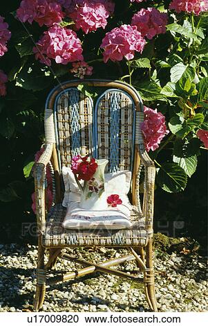 Stock Image - Wicker chair and pink hydrangeas. Fotosearch