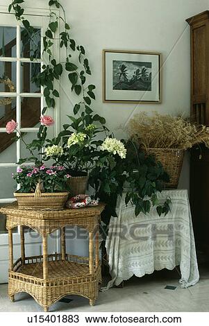 Wicker table in traditional living room View Large Photo Image Stock Image - Wicker table in traditional living room. Fotosearch