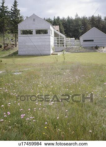 Wildflower meadow in front of modern white Scandinavian house View Large Photo Image Picture - Wildflower meadow in front of modern white Scandinavian house. Fotosearch