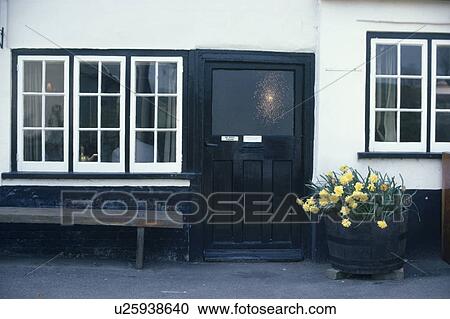 Wooden bench and yellow daffodils in pot outside white cottage with black front door View Large Photo Image Stock Image - Wooden bench and yellow daffodils in pot outside white cottage with black front door. Fotosearch