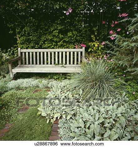 Stock Photograph -  Wooden bench in country garden in summer. Fotosearch