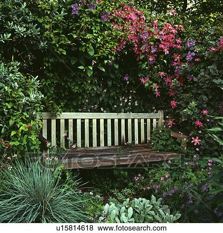 Wooden bench in country garden in summer View Large Photo Image Stock Photo - Wooden bench in country garden in summer. Fotosearch