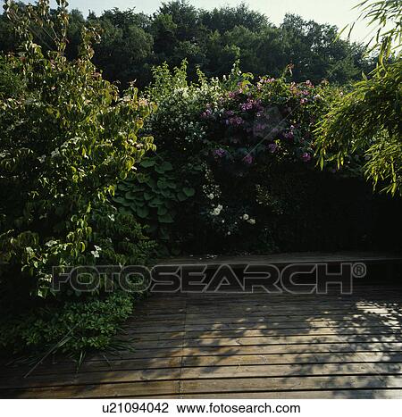 Wooden bench on decking in country garden in summer View Large Photo Image Stock Image - Wooden bench on decking in country garden in summer. Fotosearch