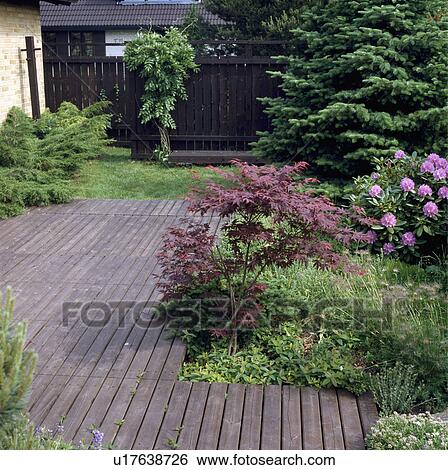 Wooden decking in town garden in spring View Large Photo Image Stock Photograph - Wooden decking in town garden in spring. Fotosearch