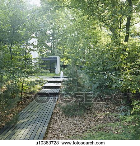 Wooden decking path in woodland garden in summer View Large Photo Image Stock Photo - Wooden decking path in woodland garden in summer. Fotosearch