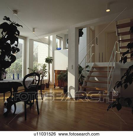 Wooden floor and white metal staircase in openplan modern white hall dining room with tall houseplants View Large Photo Image Stock Photograph - Wooden floor and white metal staircase in openplan modern white hall dining room with tall houseplants. Fotosearch