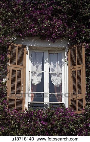 Wooden louvre shutters at French windows with white ruched blind View Large Photo Image Stock Image - Wooden louvre shutters at French windows with white ruched blind. Fotosearch