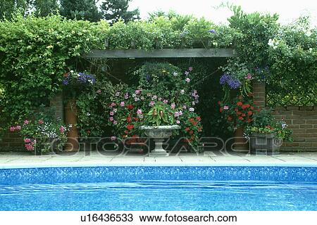 Wooden pergola behind swimmingpool in country garden in summer View Large Photo Image Stock Image - Wooden pergola behind swimmingpool in country garden in summer. Fotosearch