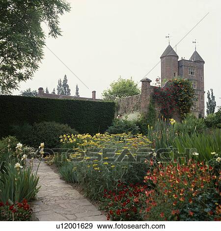 Yellow achillea and red aquilea in large herbaceous border at Sissinghurst View Large Photo Image Stock Photo - Yellow achillea and red aquilea in large herbaceous border at Sissinghurst. Fotosearch