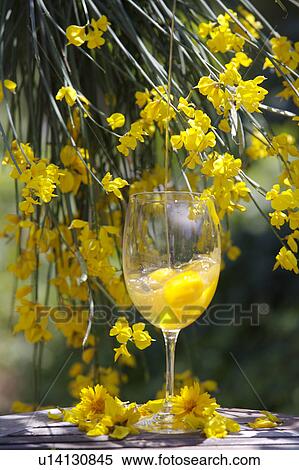 Stock Photography - yellow, eggs, food. Fotosearch