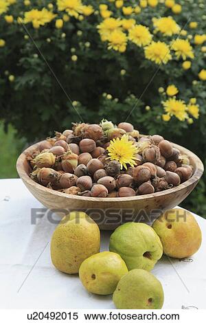 Stock Photography - yellow, gardens, food, fruit, harvest. Fotosearch